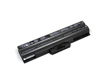 6 Cell Black Sony VGP-BPS13B/B VGP-BPS13B/Q VGP-BPS13B/S Battery